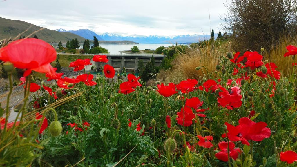 Marie Therese Apartment B&B Lake Tekapo Ngoại thất bức ảnh